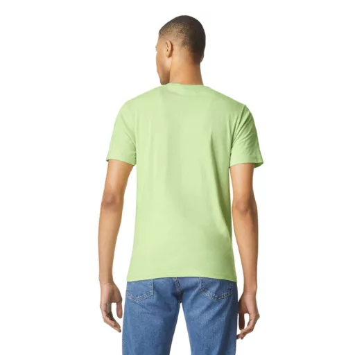 Softstyle rövid ujjú környakas póló, Gildan GI64000, Pistachio-2XL