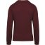 Női raglános organikus környakas pulóver, Kariban KA481, Wine Heather-2XL