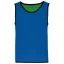 PA046 gyerek ujjatlan kifordítható sportpóló Proact, Sporty Royal Blue/Green-6/10