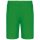 PA101 könnyű férfi sport rövidnadrág Proact, Green-2XL