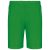 PA101 könnyű férfi sport rövidnadrág Proact, Green-2XL
