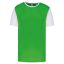 PA4023 kétszínű rövid ujjú környakas unisex sportpóló Proact, Green/White-L