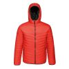 Regatta RETRA 420 könnyű férfi kabát, Classic Red/Black