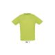 Férfi raglános, rövid ujjú sport póló, SOL'S SO11939, Apple Green-2XL